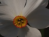 DSC_0106.jpg