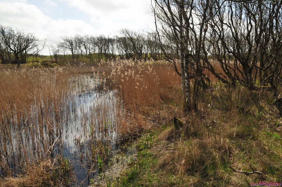 dsc_6592.jpg