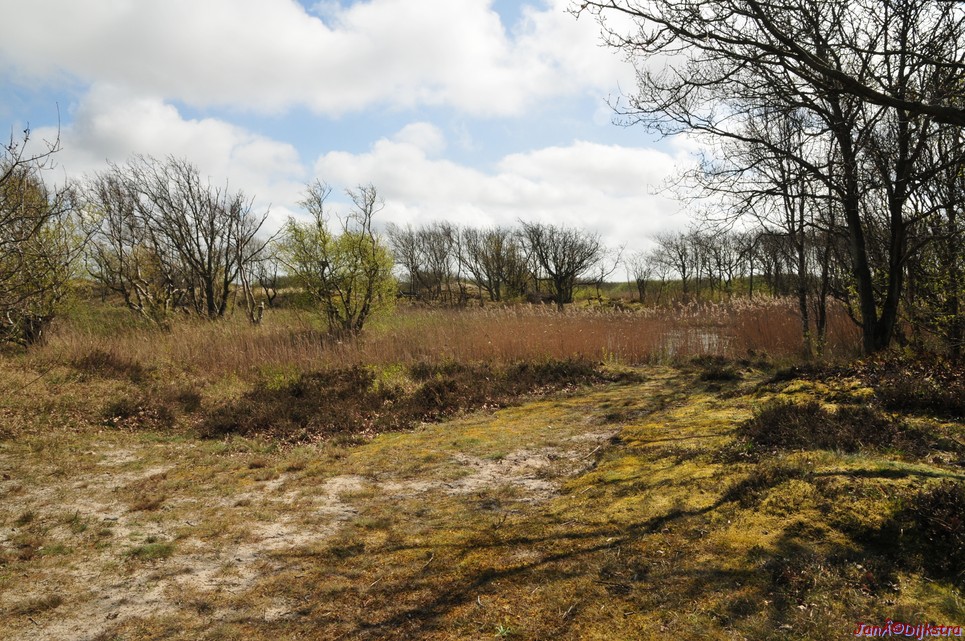dsc_6595.jpg