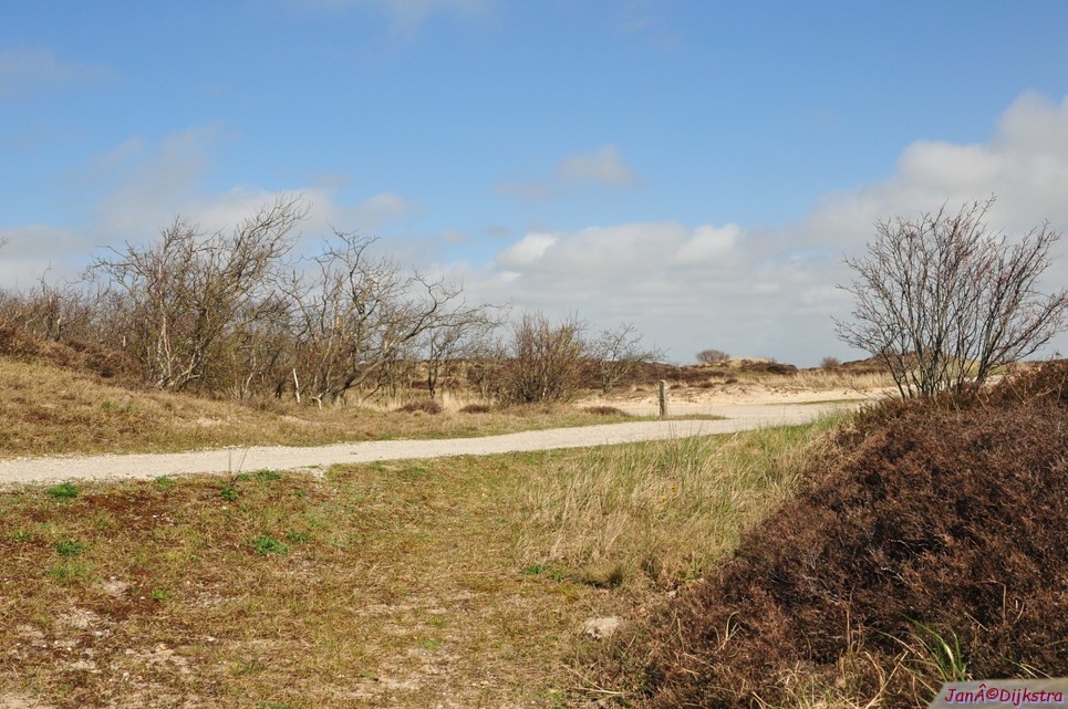 dsc_6596.jpg