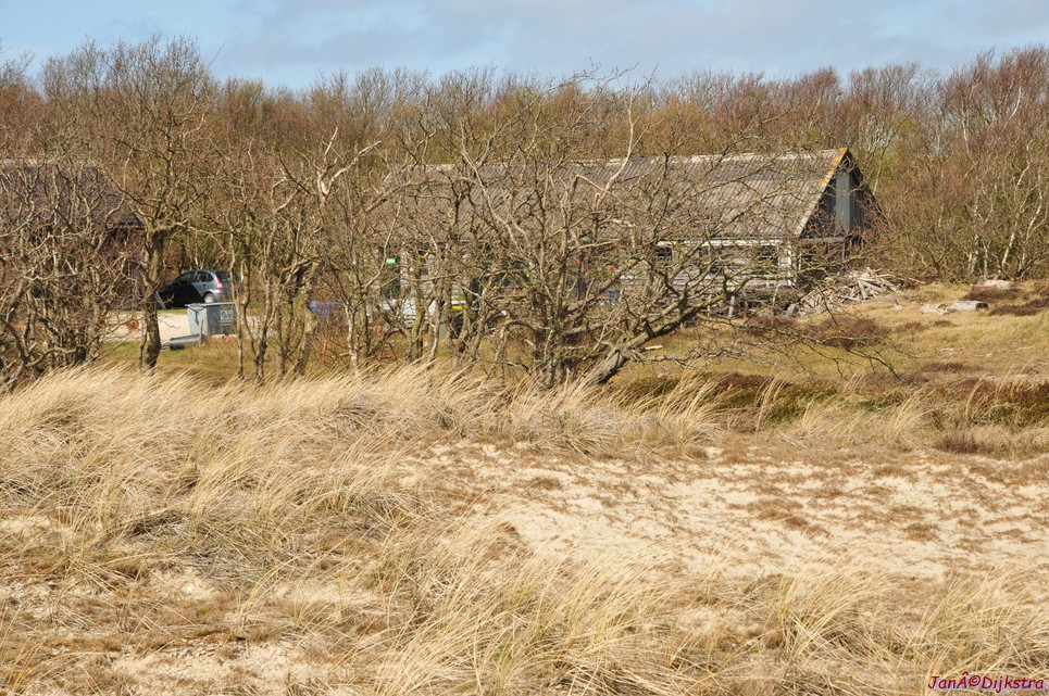 dsc_6600.jpg