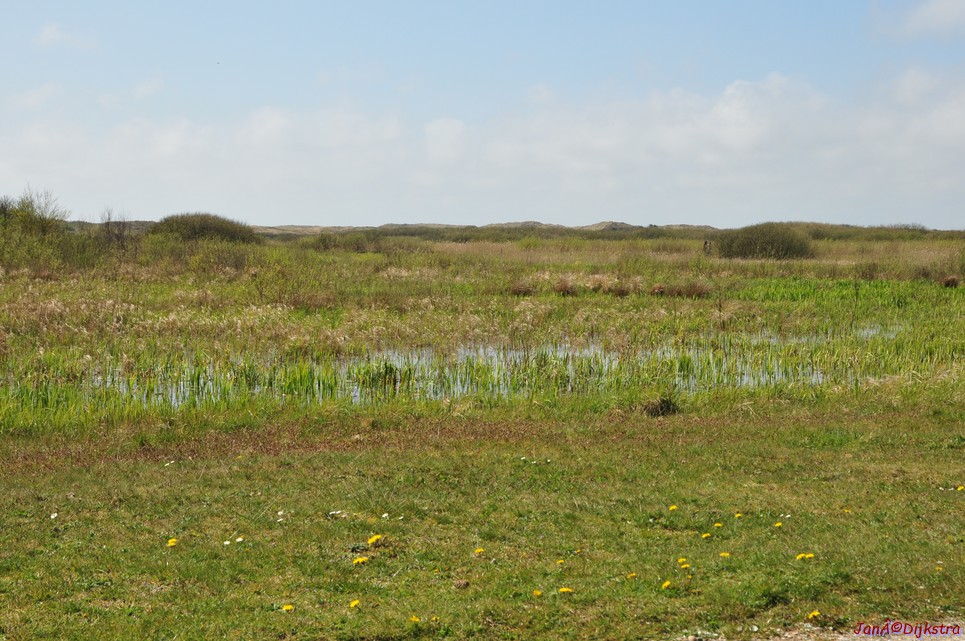 dsc_6603.jpg