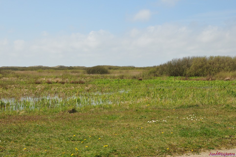 dsc_6604.jpg