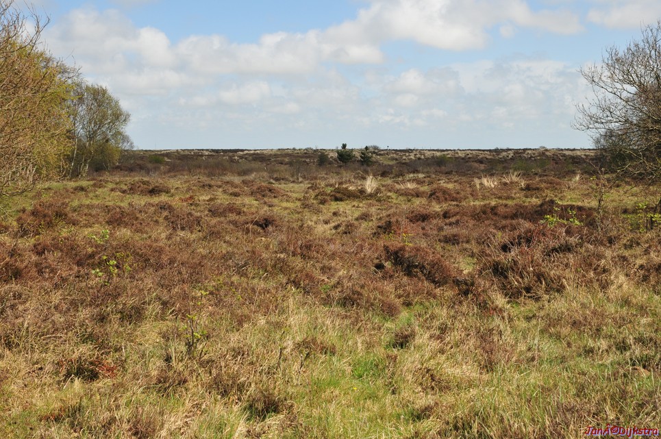 dsc_6605.jpg