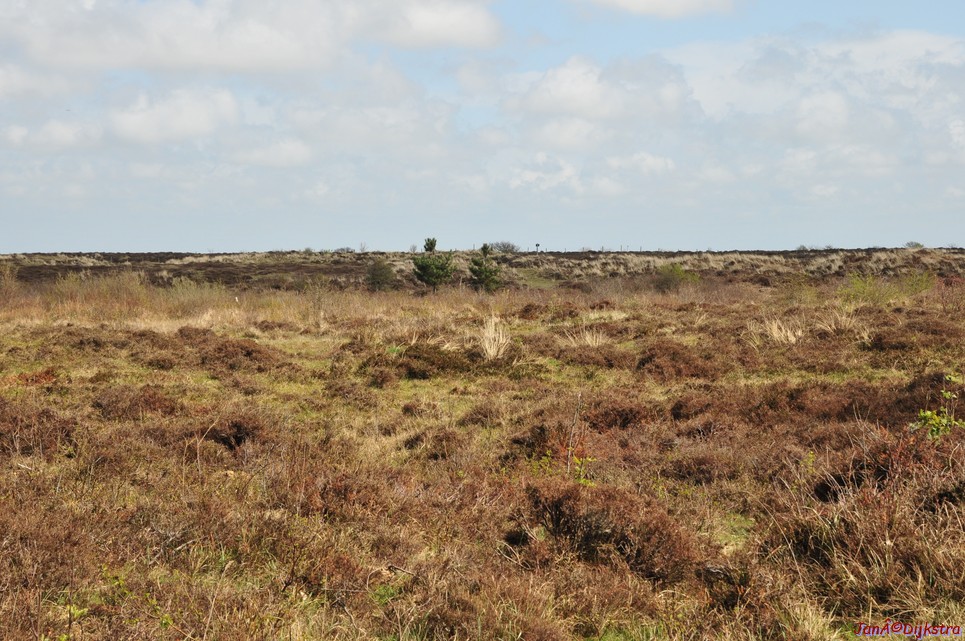 dsc_6606.jpg