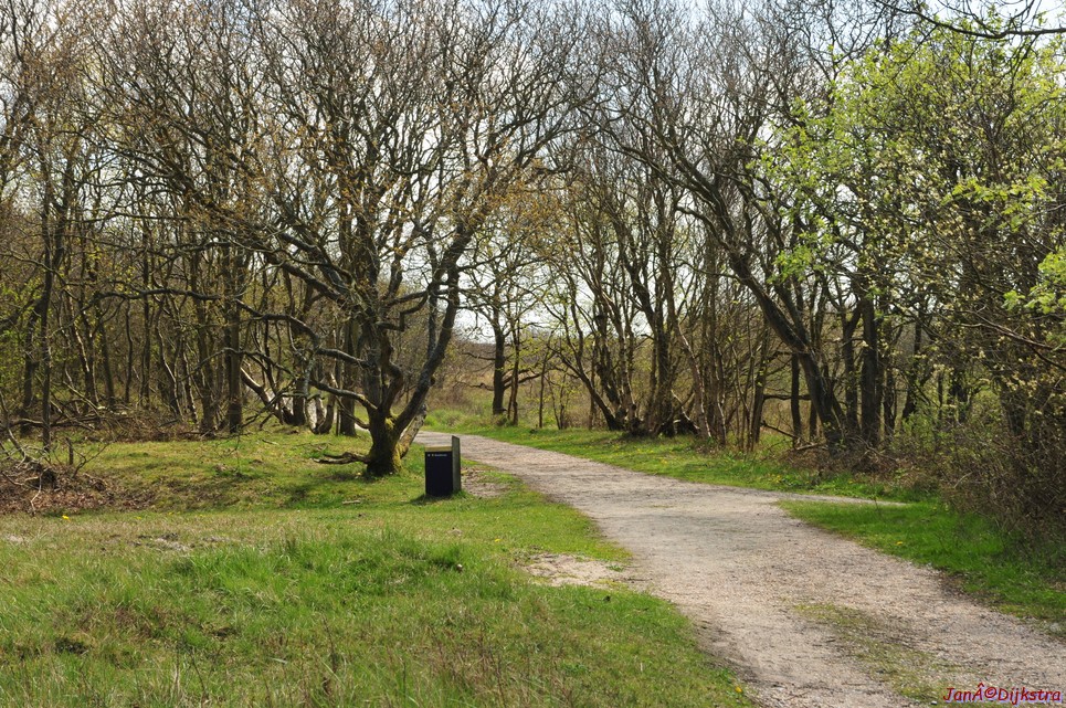 dsc_6607.jpg