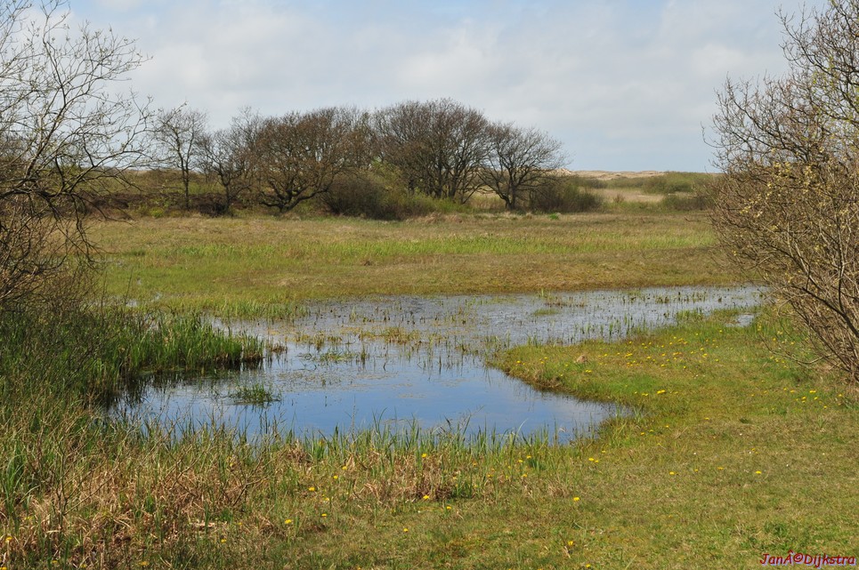 dsc_6608.jpg