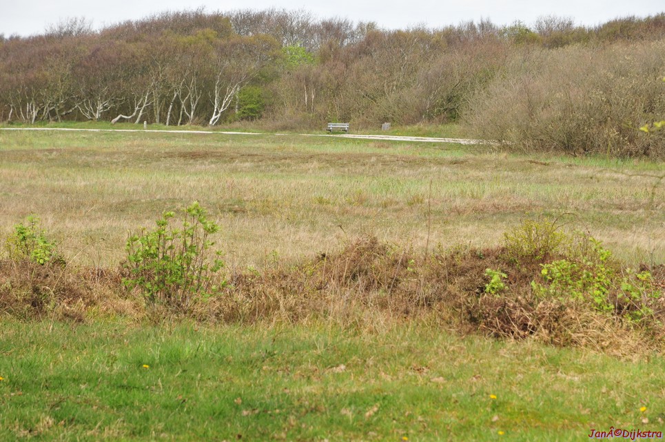 dsc_6612.jpg