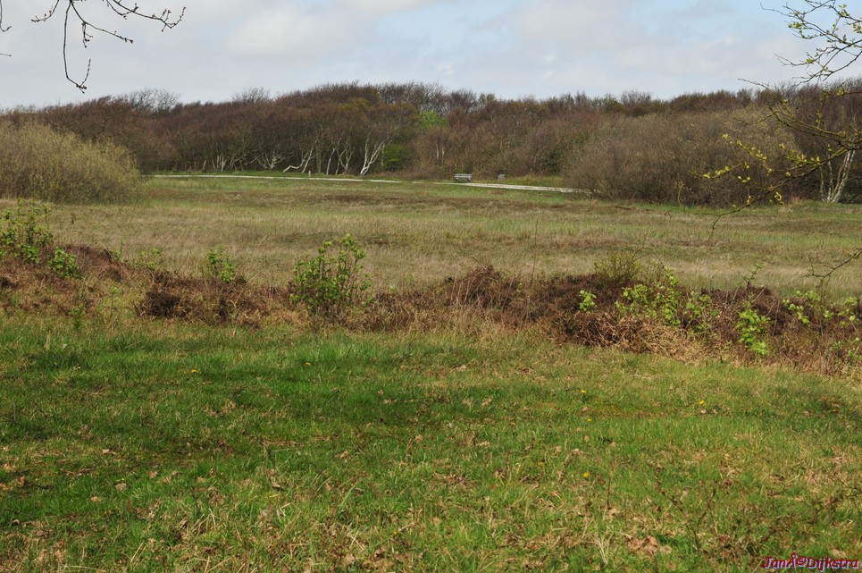 dsc_6613.jpg