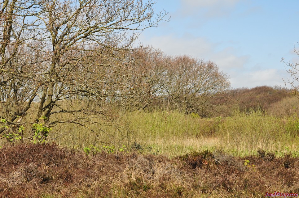 dsc_6614.jpg