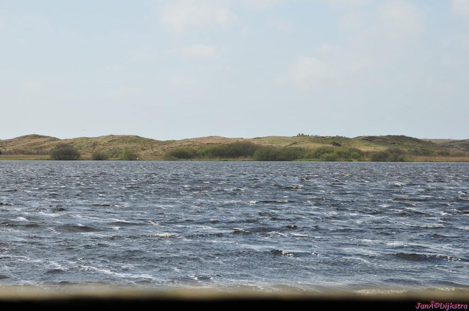dsc_6617.jpg