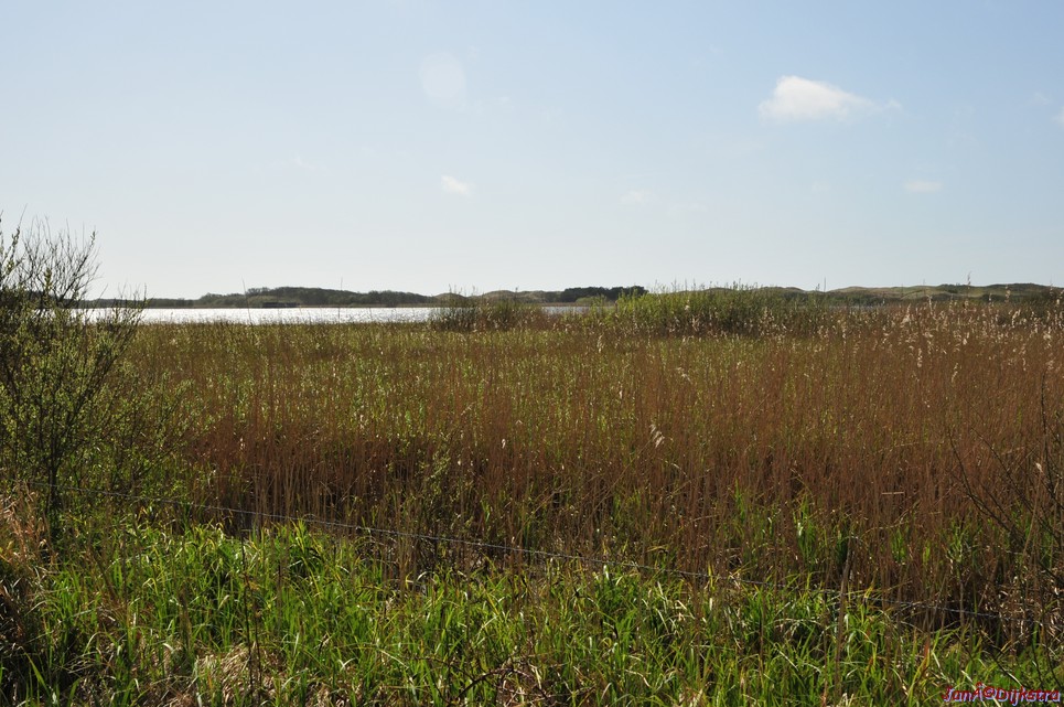 dsc_6622.jpg
