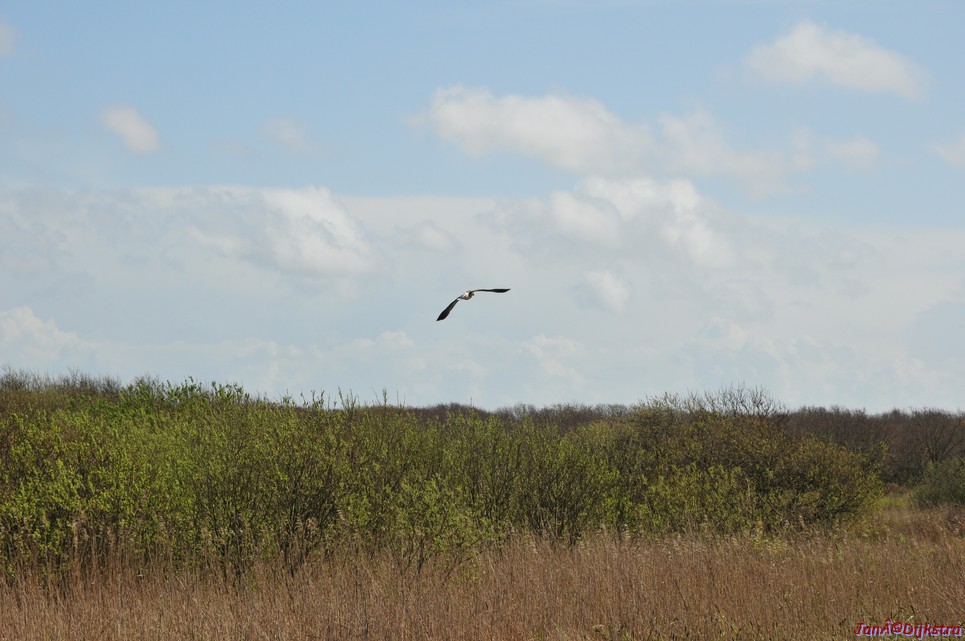 dsc_6629.jpg