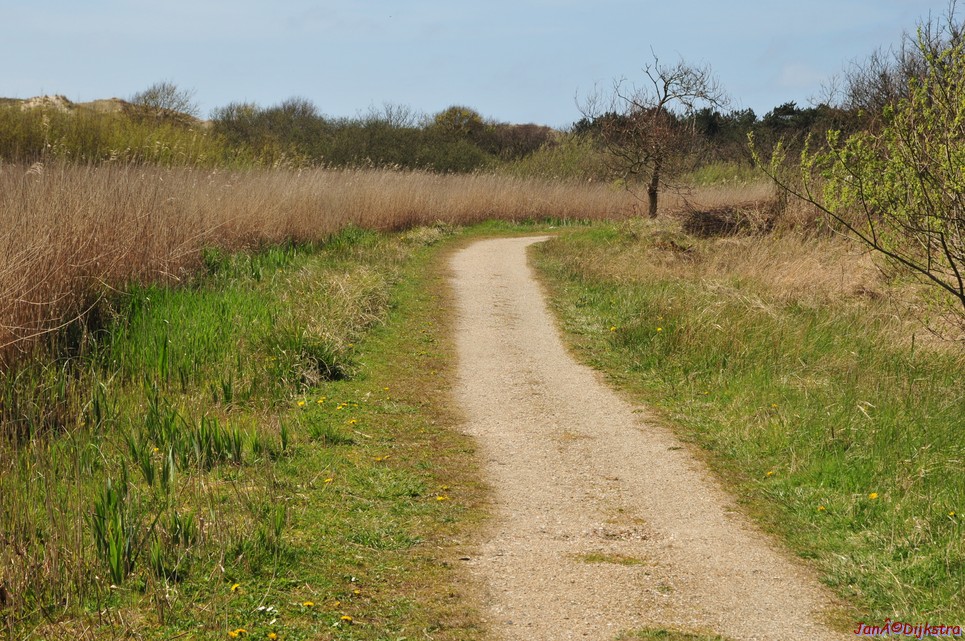 dsc_6639.jpg