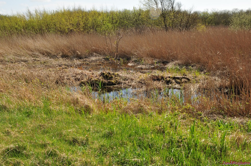 dsc_6641.jpg