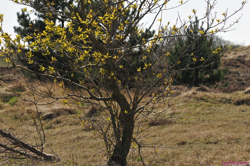 dsc_6661.jpg