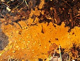 dsc_6611.jpg