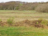 dsc_6612.jpg