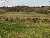 dsc_6613.jpg