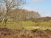 dsc_6614.jpg