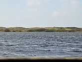 dsc_6617.jpg