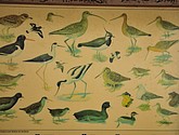 dsc_6619.jpg