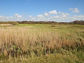 dsc_6620.jpg