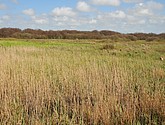 dsc_6621.jpg