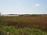 dsc_6622.jpg