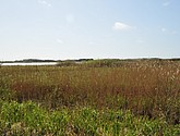 dsc_6623.jpg