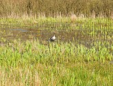 dsc_6624.jpg