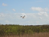 dsc_6626.jpg