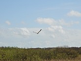 dsc_6627.jpg