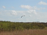 dsc_6629.jpg