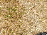 dsc_6632.jpg