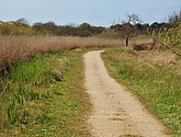 dsc_6639.jpg