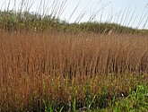 dsc_6640.jpg