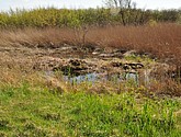 dsc_6641.jpg