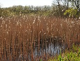 dsc_6645.jpg
