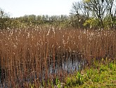 dsc_6646.jpg