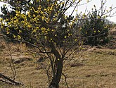 dsc_6661.jpg