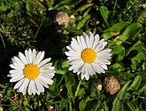 dsc_6669.jpg