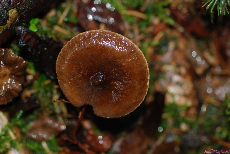 DSC_0324.JPG
