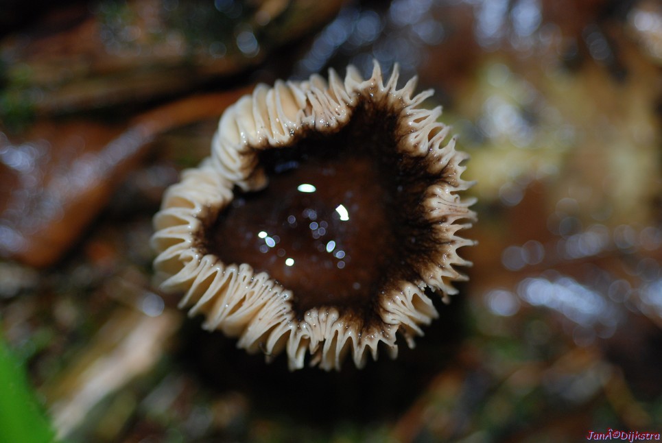 DSC_0325.JPG