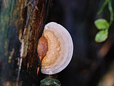 DSC_0312.JPG
