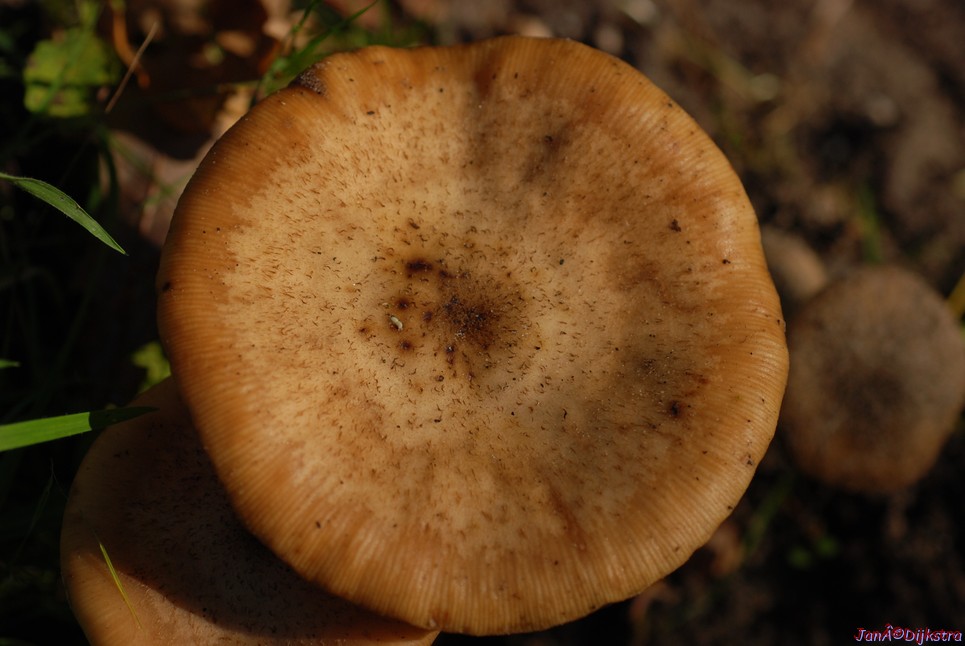 DSC_0151.JPG