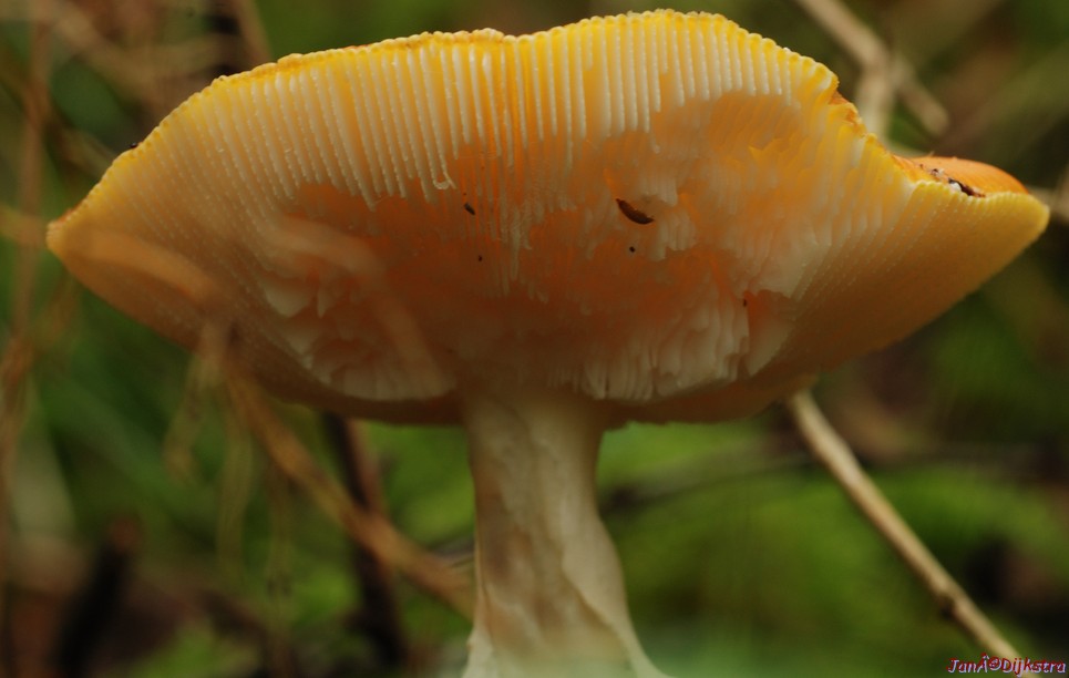 DSC_0073.JPG