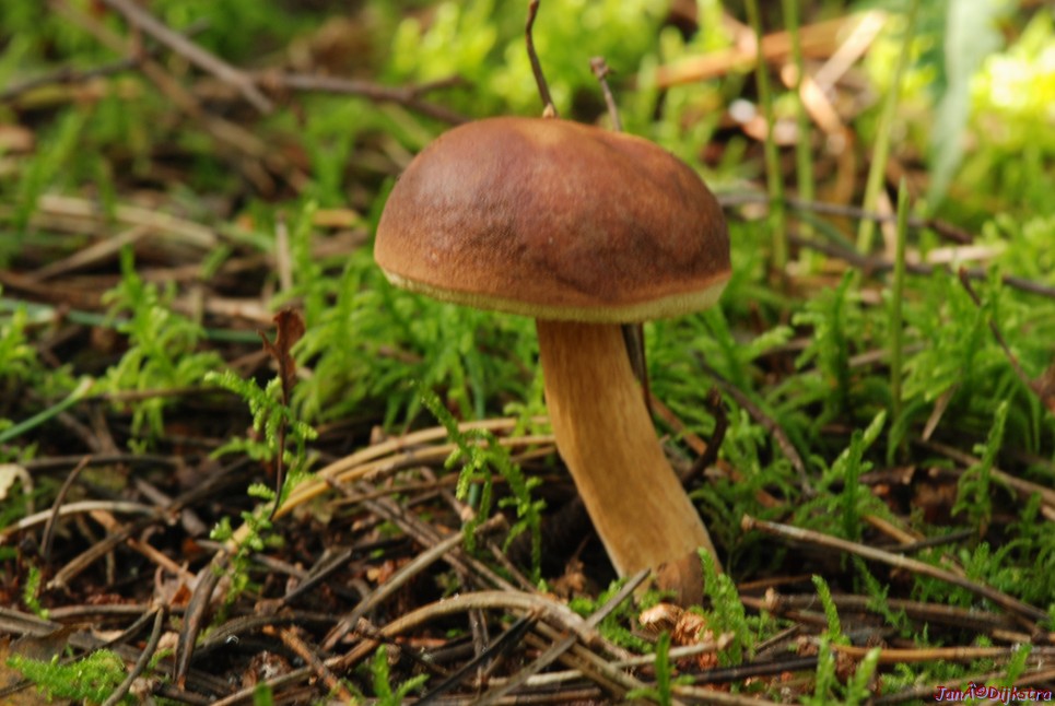 DSC_0059.JPG