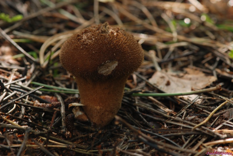 DSC_0076.JPG