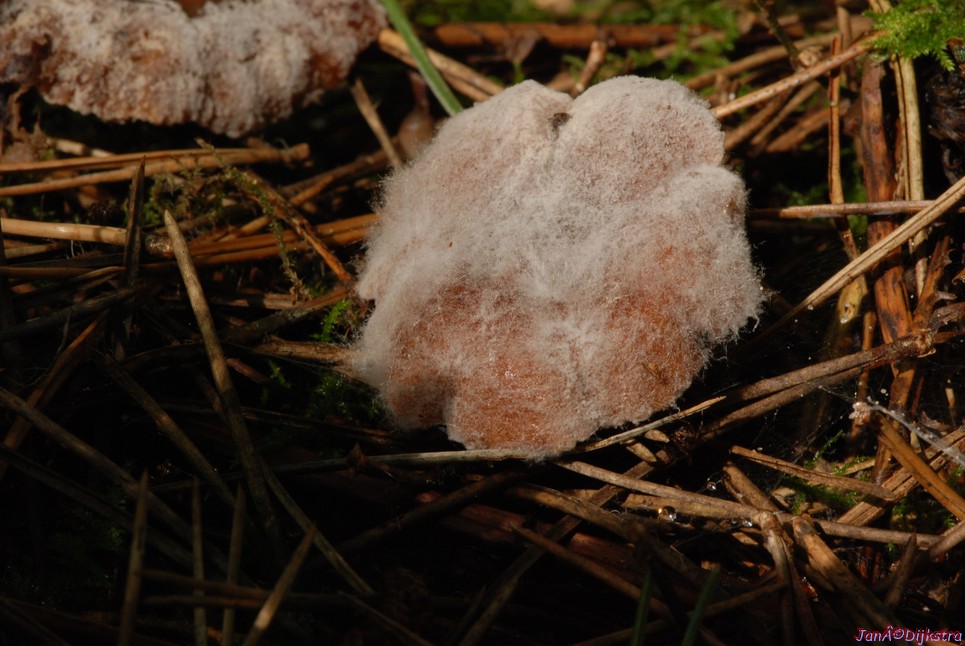 DSC_0084.JPG